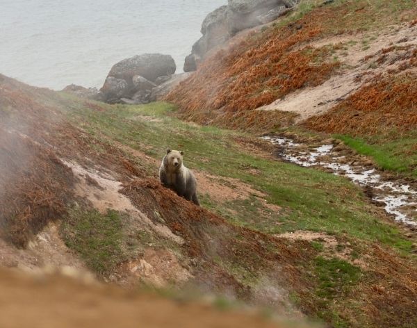 yellowstone_tours_activities _shoshone_lodge yellowstone_tours_activities _shoshone_lodge