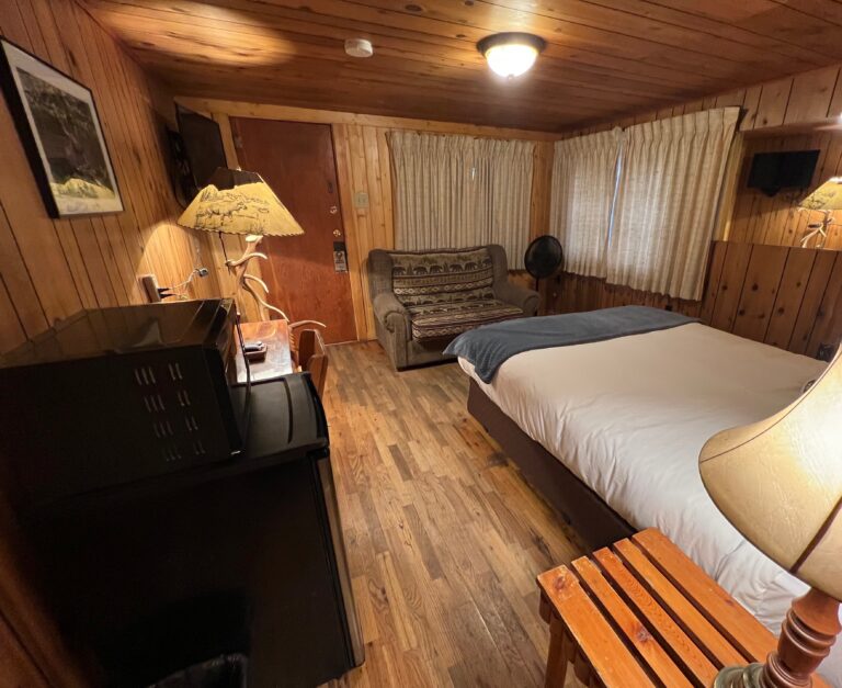 A view of the cabin including an antler lamp, queen bed, and pull-out couch.