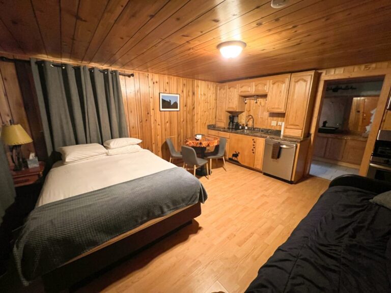 Knotty-pine cabin studio with a queen bed, small dining table, kitchenette with coffee maker and dishwasher, and a second bed in the foreground.