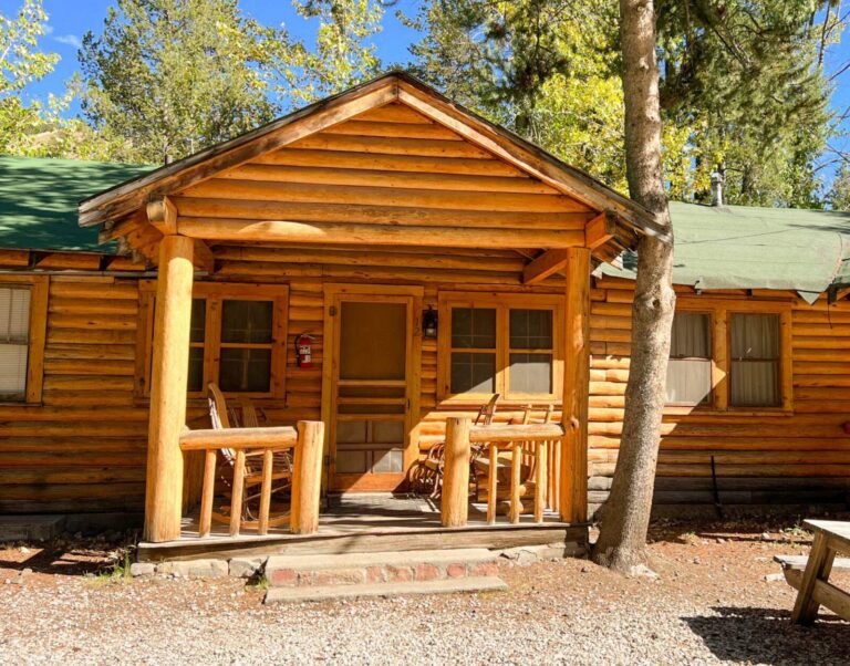 Rustic log cabin with a covered porch, wooden rocking chairs, and green roof, set among tall pine trees.