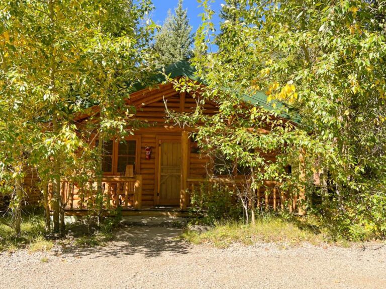 Rustic log cabin with a green metal roof and covered porch, framed by sunlit aspen trees turning yellow, at the end of a gravel path.